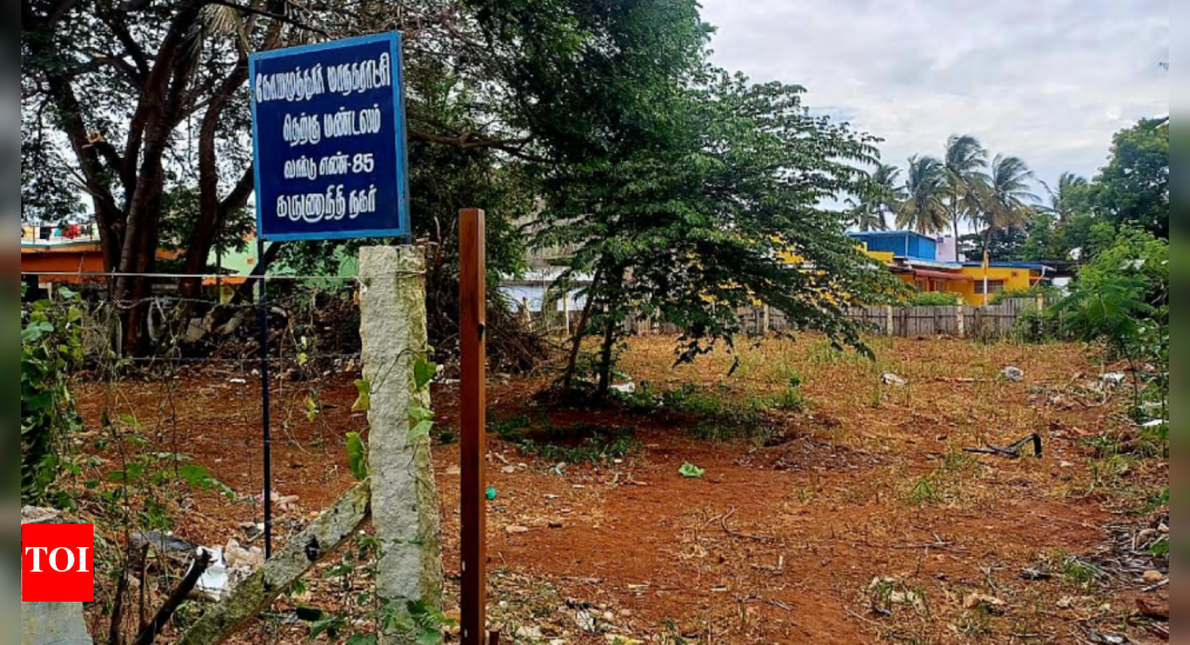 The Times of India - Politics - News Image