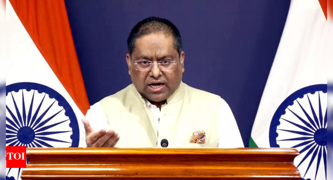 ‘India doesn’t subscribe to unilateral sanctions’: MEA on EU’s move against Russia; calls out ‘double standards’ on energy trade | India News – Times of India
