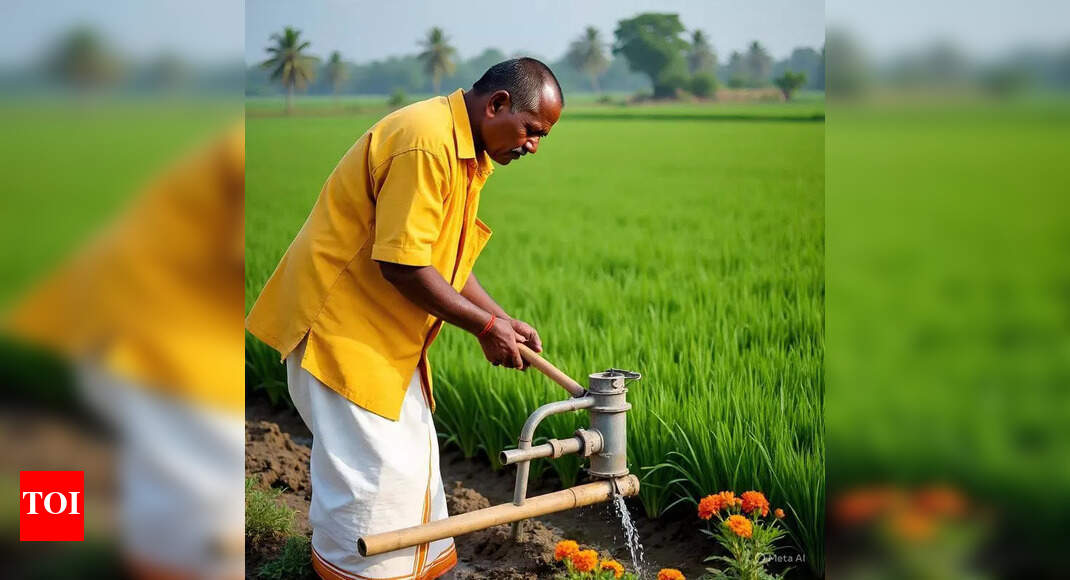 CESC plans to produce solar power for irrigation pumpsets in Mysuru