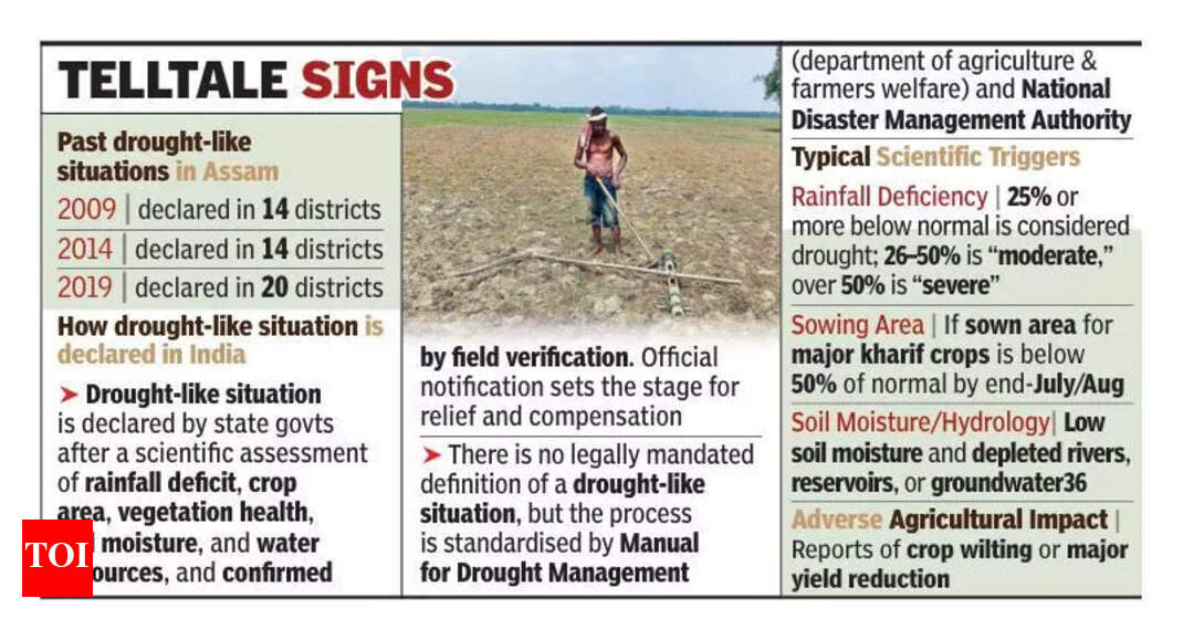 The Times of India - Other - News Image