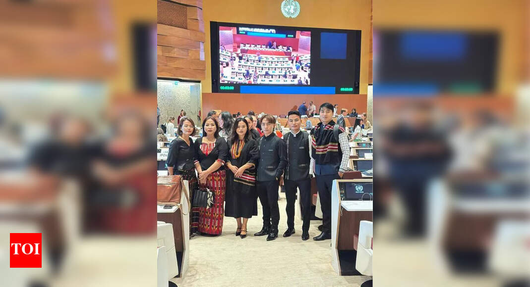 ZoRo slams India, Myanmar, B’desh govts for ‘UNDRIP violations’