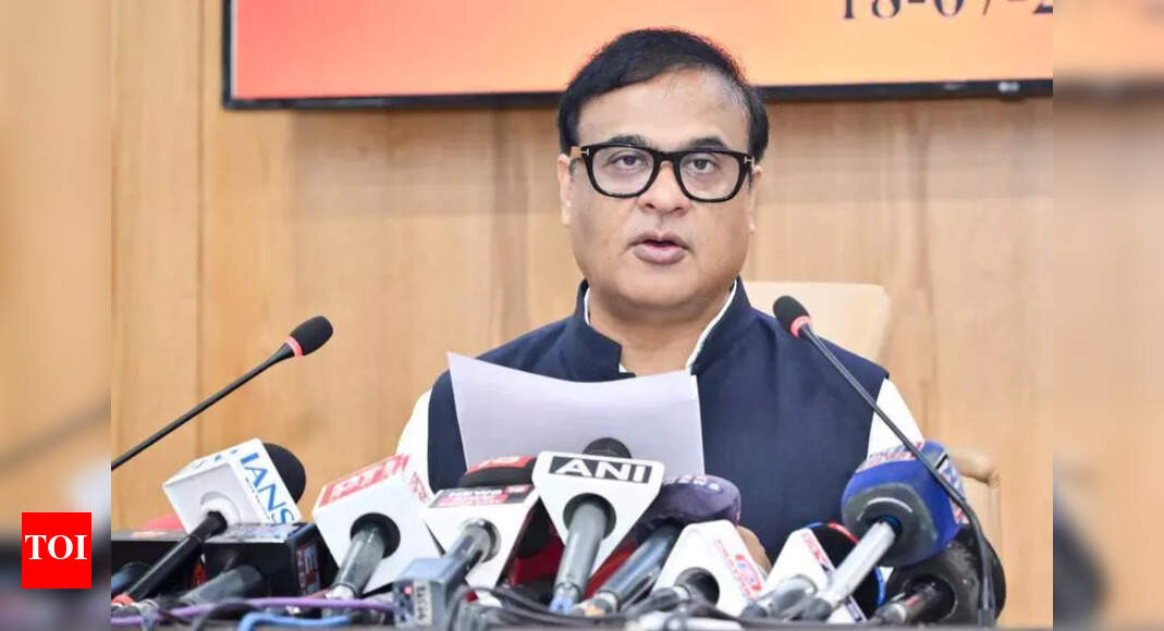 The Times of India - Business - News Image