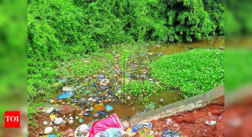 High court directs urgent action on Sal river contamination issue | Goa ...