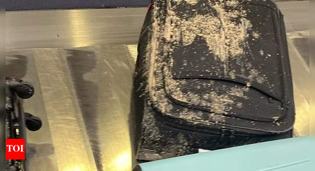 Luggage covered in poop? Virgin Atlantic says it did not come from plane, it's not human excrement