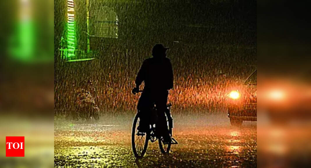 The Times of India - Business - News Image