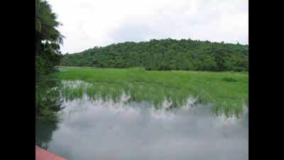20k sqm Pilerne hill conversion risks landslides, threatens lake