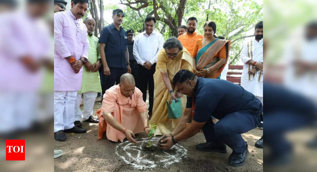 The Times of India - Politics - News Image