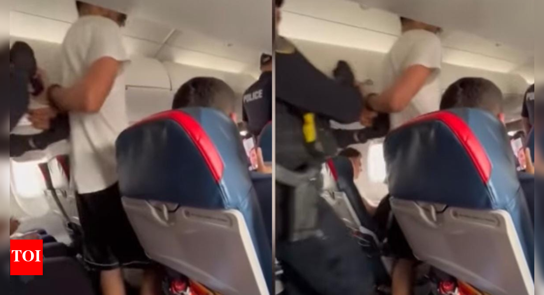 ‘Unruly behaviour’: Detroit-bound Delta Airlines flight diverted as passenger tries to open door mid-air; fights with attendant