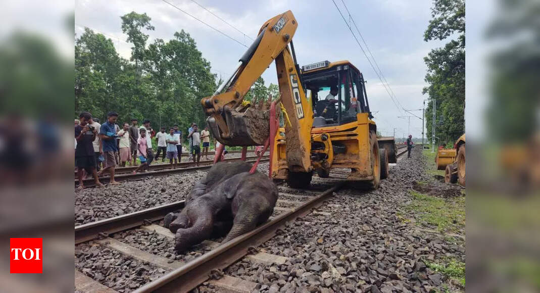 The Times of India - Other - News Image