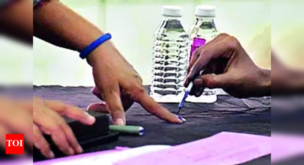 The Times of India - Politics - News Image