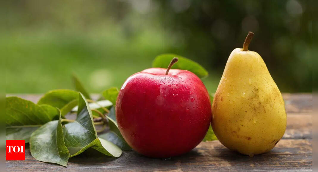 Apples vs pears: Which fruit is better for your health | – Times of India