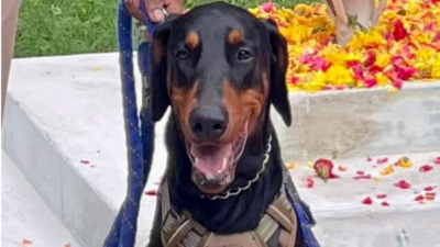 Forest dept’s sniffer dog dies after being run over by govt bus in Pollachi