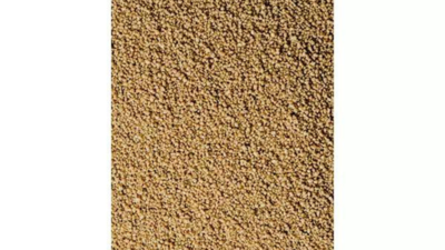 Codex recognition: India's millet standards praised at Rome meet; fresh date, turmeric norms also advanced