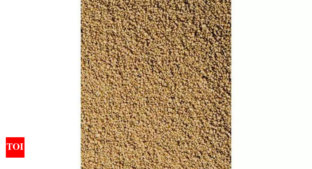 Codex recognition: India's millet standards praised at Rome meet; fresh date, turmeric norms also advanced