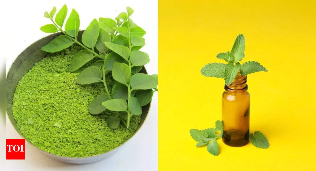 Know how curry leaves can improve your skin and hair naturally | – Times of India