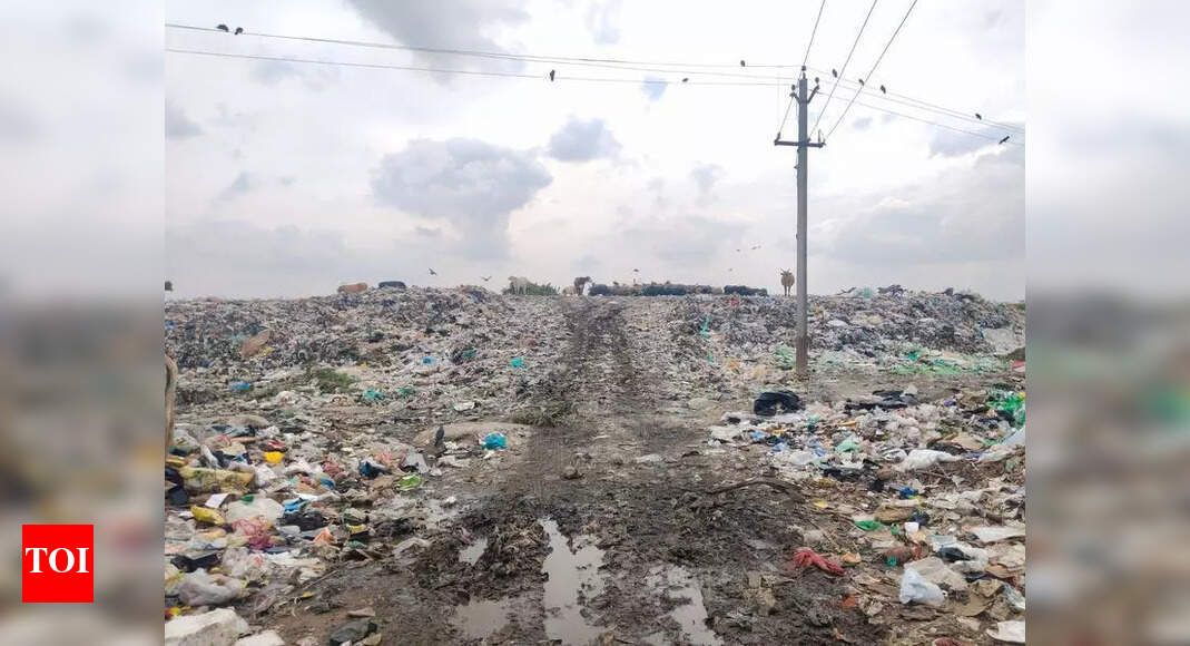 15 years on, Kovalam’s legacy garbage woes mount daily | Chennai News ...