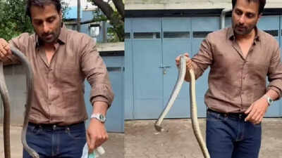 Sonu Sood catches snake with bare hands in his residential society, urges fans not to imitate - WATCH video
