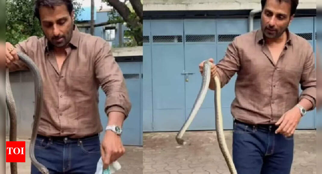 Sonu Sood catches snake with bare hands in his residential society, urges fans not to imitate - WATCH video