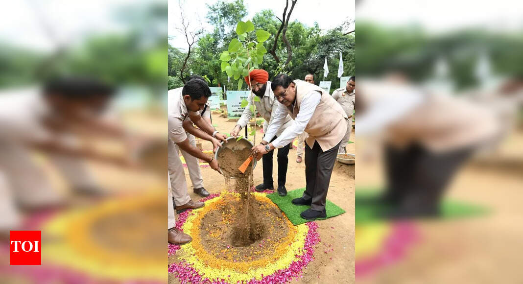 The Times of India - Politics - News Image