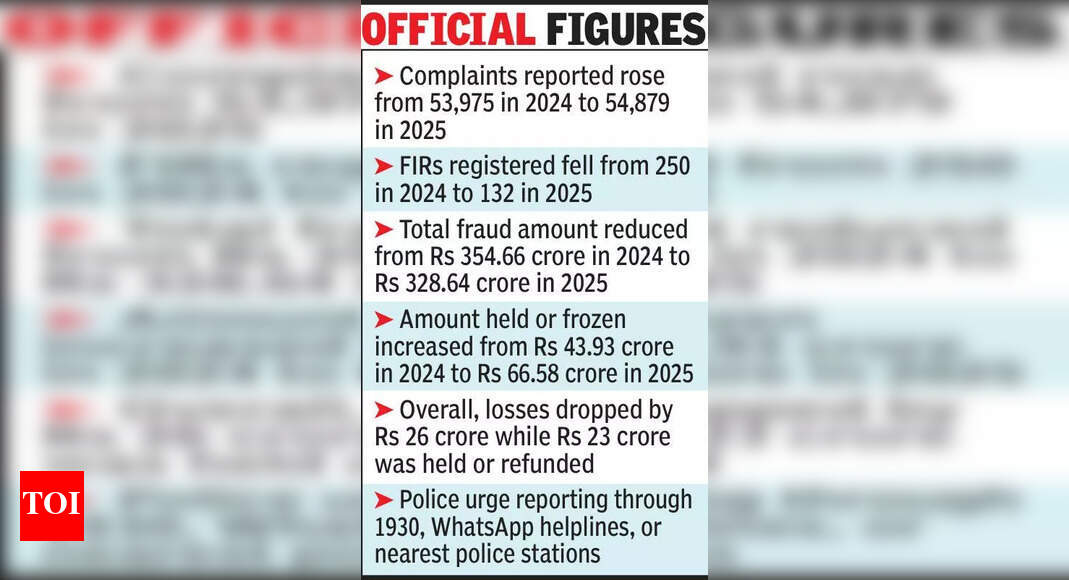 The Times of India - Business - News Image