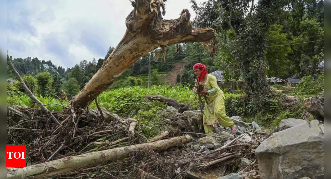 The Times of India - Politics - News Image