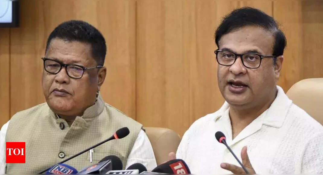 The Times of India - Politics - News Image