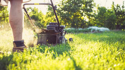 5 smart lawn hacks for a healthy summer yard