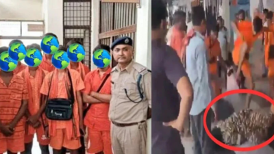 CRPF jawan assaulted by kanwariyas at Mirzapur railway station over train ticket; 3 held, later released on bail