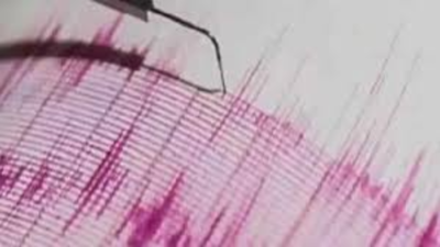 Powerful earthquakes in Russia: Tsunami alert issued; three quakes including 7.4 magnitude strike off near Kamchatka