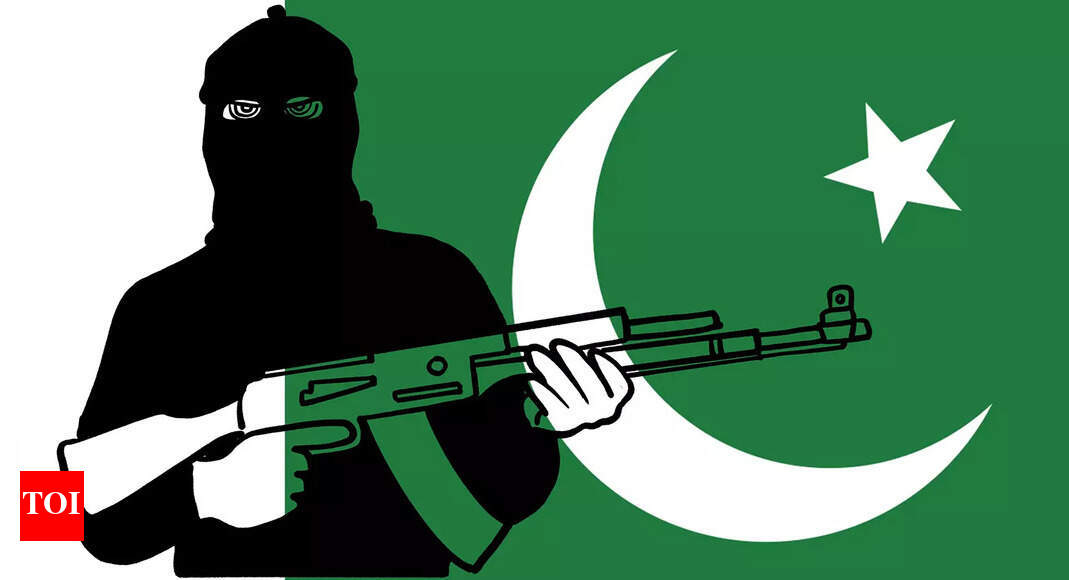 US action against Pak-backed terror follows Pahalgam attack aftermath.