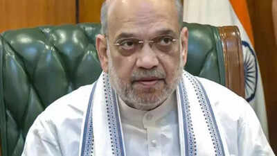 'BJP govt transforming states into hubs of development': Union Home Minister Amit Shah