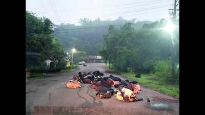 Kavlem locals flag risks from stray cattle, wild animals