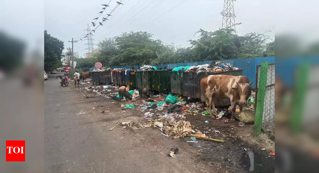 HEAD: 20_Che_O_GCC Turns Nolambur Riverside Park into Garbage Dump ...