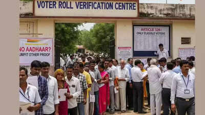 11,000 'not traceables' electors revealed by Bihar’s SIR could beryllium  amerciable  immigrants