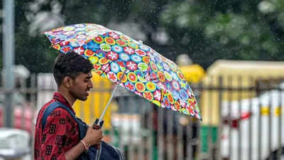  Expect rain and comfortable temperatures today