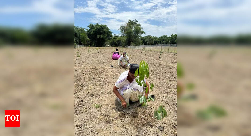 Students take up green mission at Posadigumpe