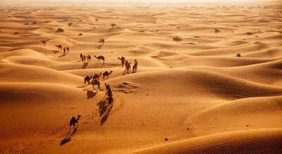 Why Saudi Arabia imports sand from Australia despite its endless deserts