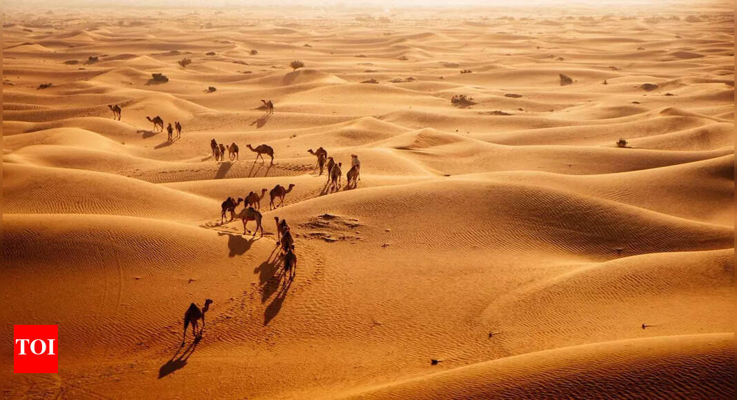 Why Saudi Arabia imports sand from Australia despite its endless deserts