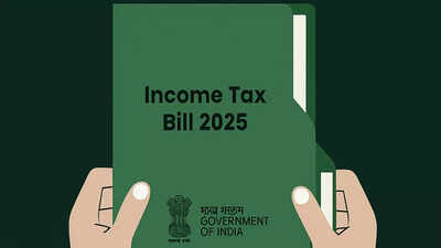 नवीन आयकर बिल: आयटीआर दाखल करताना टीडीएस परतावा दाव्यांमध्ये बदल? पार्लोमेंटरी पॅनेलद्वारे सुचविलेले शीर्ष बिंदू