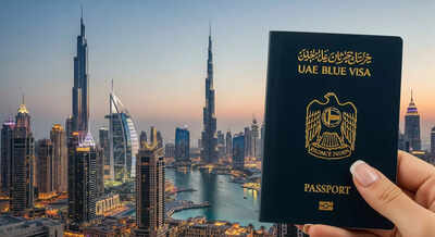 UAE Blue Visa: No property or investment needed; how you can simply qualify by contributing to the environment