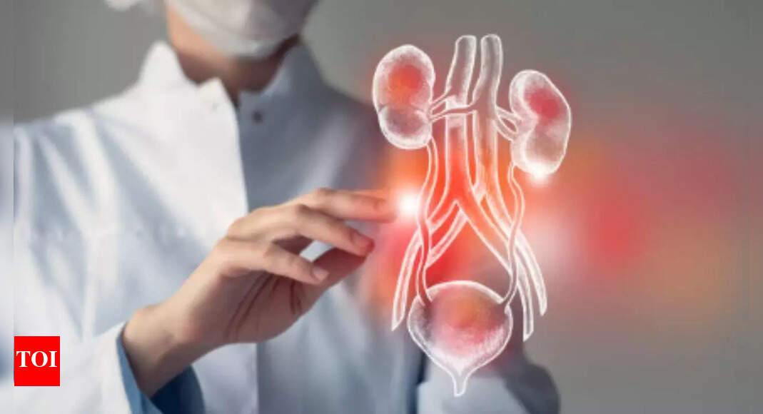3 foods that can improve kidney function | – Times of India