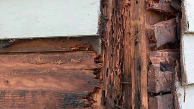 How to protect wooden furniture from moisture during monsoons: Maintenance tips that work