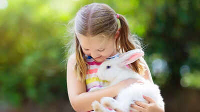 8 best tips to care for your pet rabbit and keep it happy and healthy