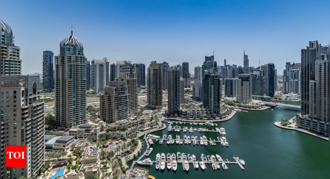 Dubai launches One Freezone Passport that unlocks access to all free zones; Louis Vuitton first to join