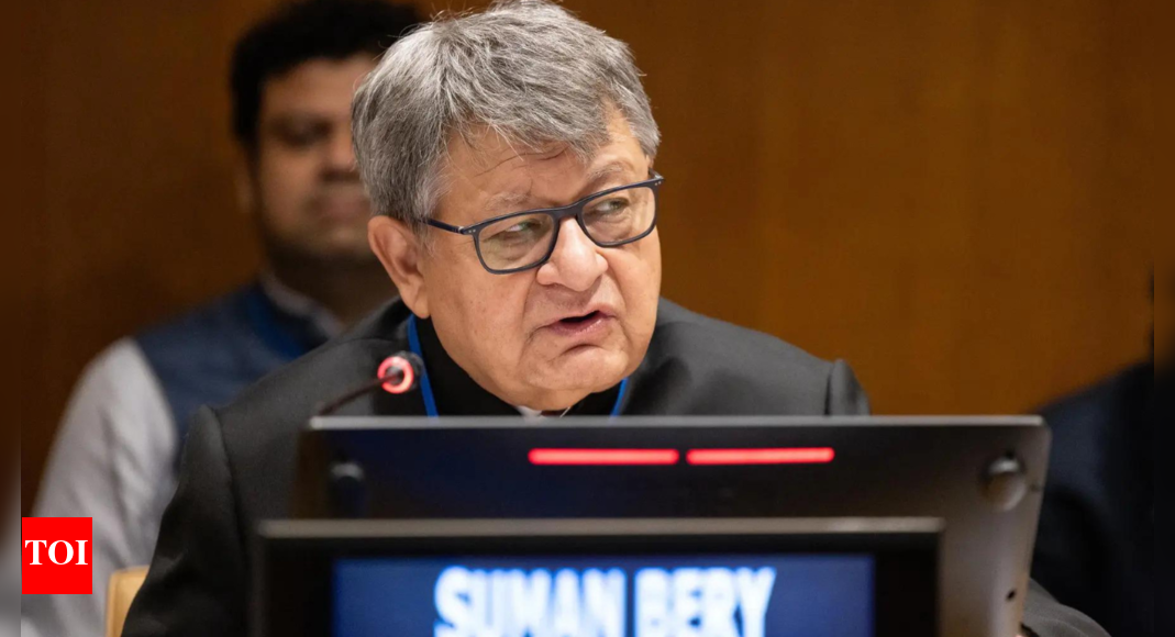 India at UN forum: Niti Aayog Vice Chairman Suman Bery calls India an 'anchor of stability', highlights growth-led development model