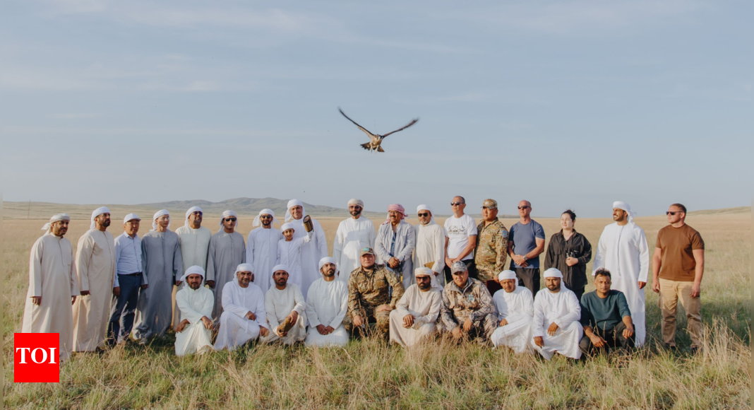 Why is UAE releasing its most treasured Falcons thousands of miles away from home?