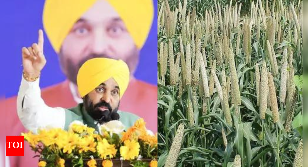Punjab government rolls out Land Pooling policy; promises farmer welfare and higher compensation