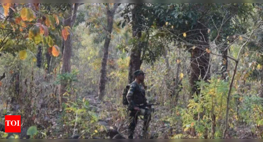 'Poona Margham': From guns to growth, 1,400 former Maoists embrace peace in Chhattisgarh's Bastar