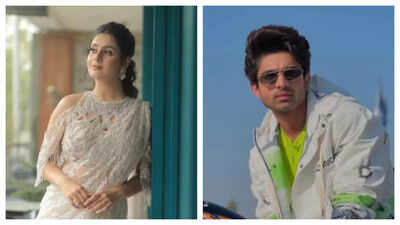 Exes Abishek Kumar and Isha Malviya will soon be seen on-screen together in a new project; Reports