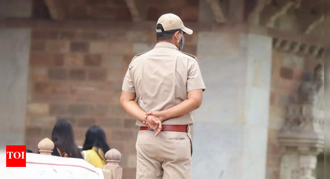 Devout thief does darshan first, then flees with temple donation box in Rajasthan